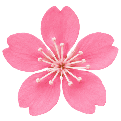 EverydayBeautyProducts Logo